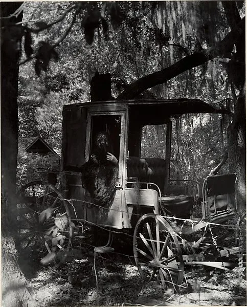 The Sinister Old Lady — Clarence John Laughlin