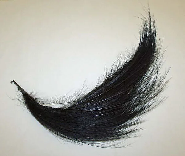 Aigrette — Unknown