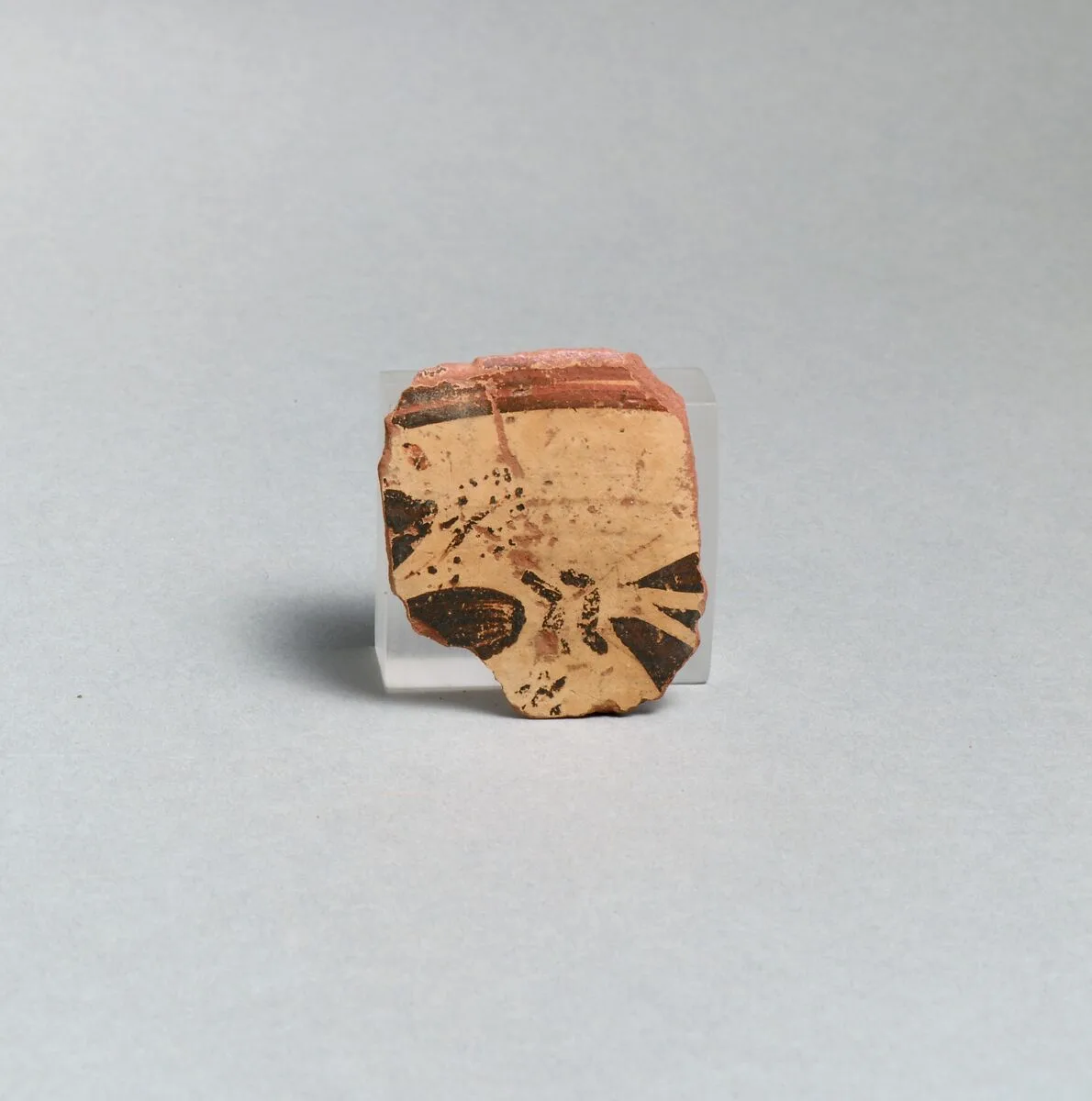 Lagynos fragment — Unknown