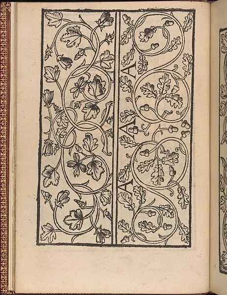 Modelbuch new, aller Art, Nehens und Stickens (page 7v) — Hermann Gülfferich|Riviere & Son(s)