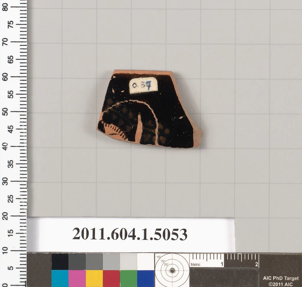 Terracotta fragment of a kylix (drinking cup) — Unknown