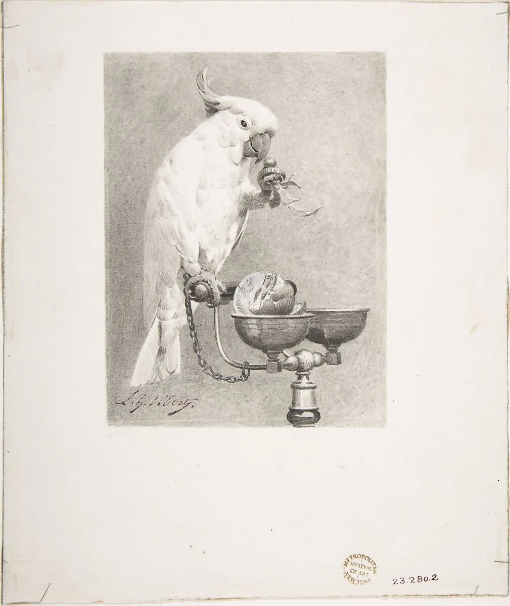 The Sedate Parrot — Jean-Georges Vibert