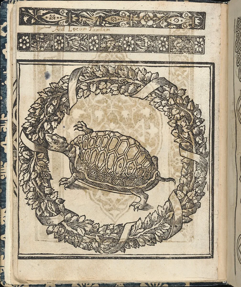 Essempio di recammi, page 23 (verso) — Giovanni Antonio di Nicolini da Sabio e i fratelli|Giovanni Antonio Tagliente