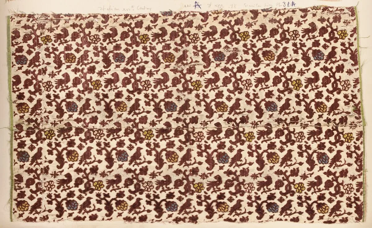 Fragment — Unknown