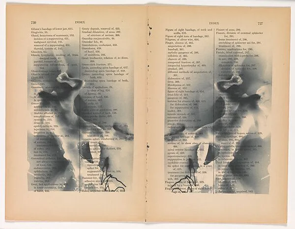 untitled (NS; double index) — Robert Flynt