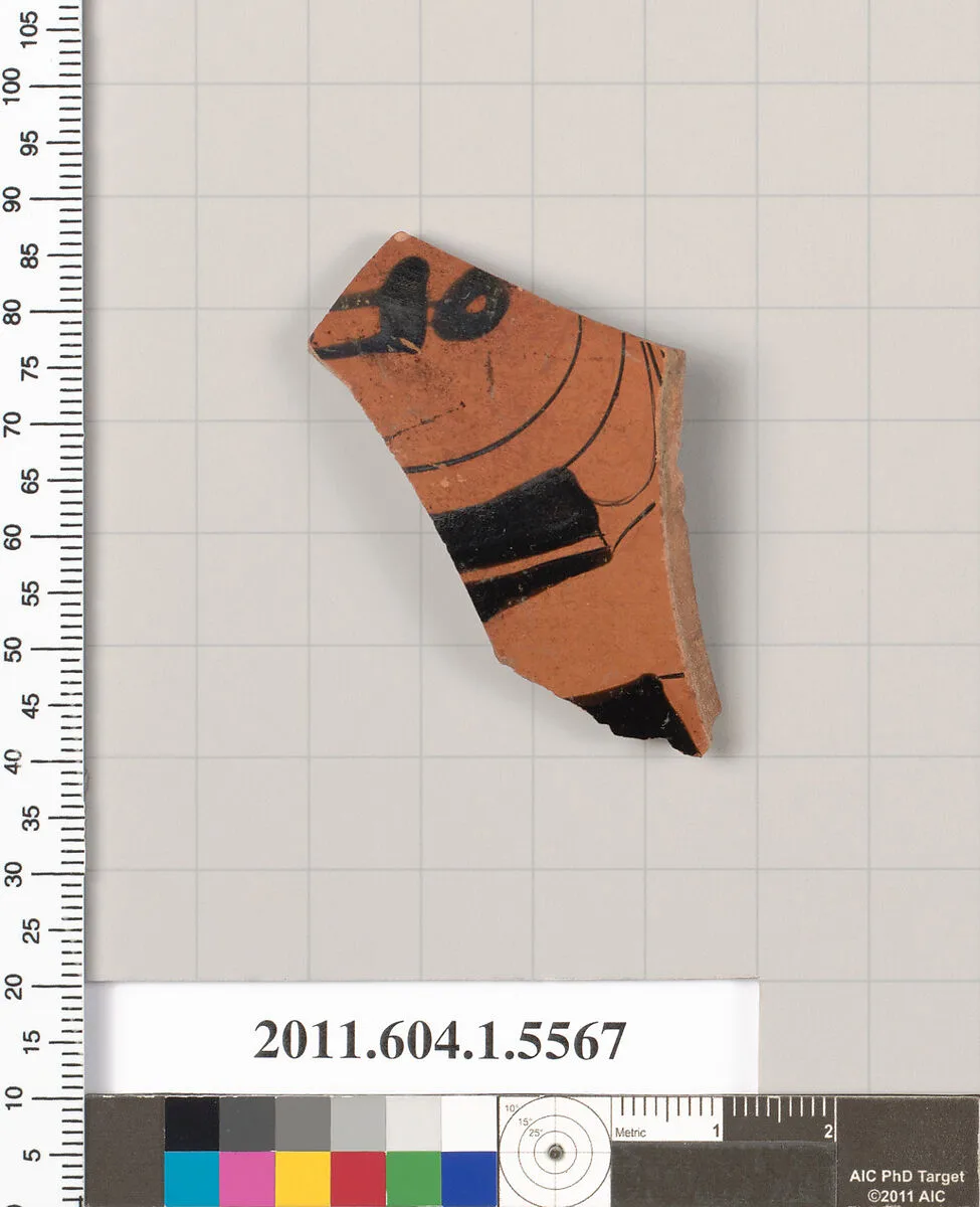 Terracotta fragment of a kylix (drinking cup) — Unknown