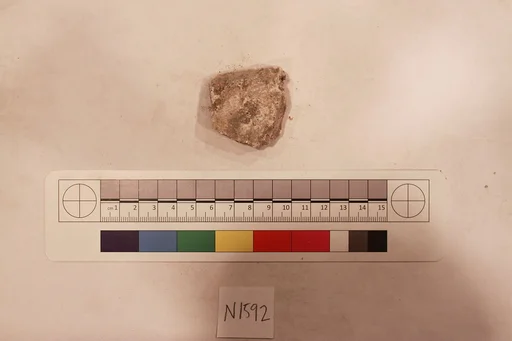 Stucco Fragment