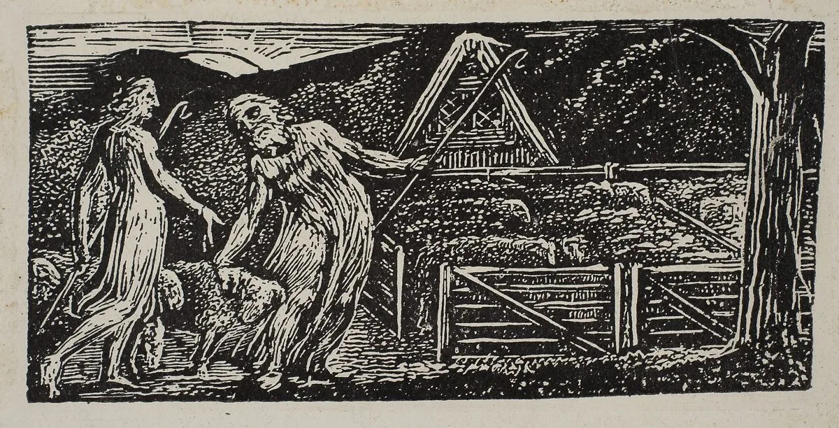 Thenot and Colinet Lead Their Flocks Together, from Thornton's "Pastorals of Virgil" — Robert John Thornton|William Blake|Virgil