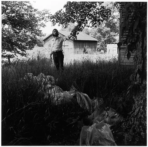 [Man in Yard, Holding Limb of Tree]
