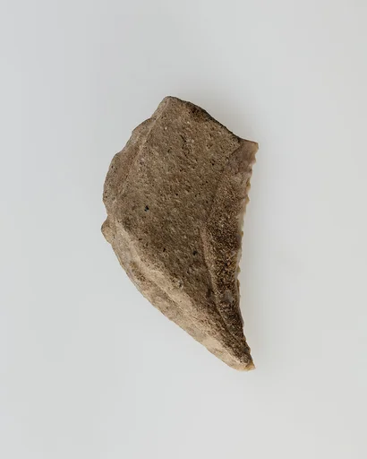 Sickle insert