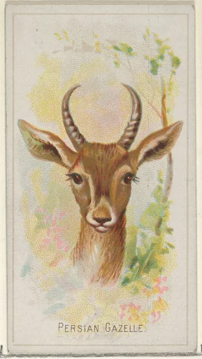 Persian Gazelle, from the Wild Animals of the World series (N25) for Allen & Ginter Cigarettes