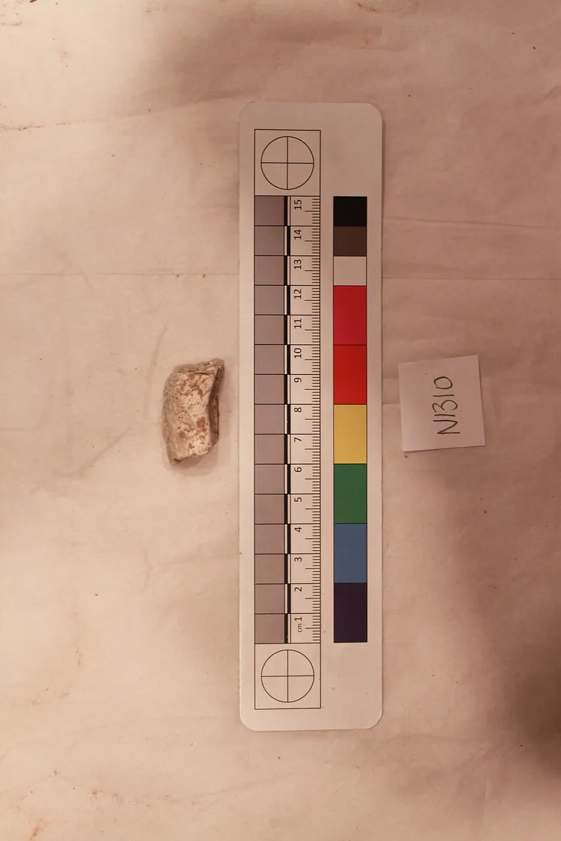 Stucco Fragment — Unknown