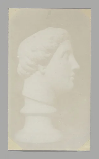 [Classical Head in Profile]