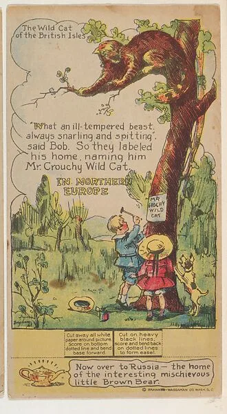 The Wild Cat of the British Isles, Northern Europe, collector card from the Dotty, Bob and Trix Cards series (D27), issued by the Pryor Baking Company — Pryor Baking Company