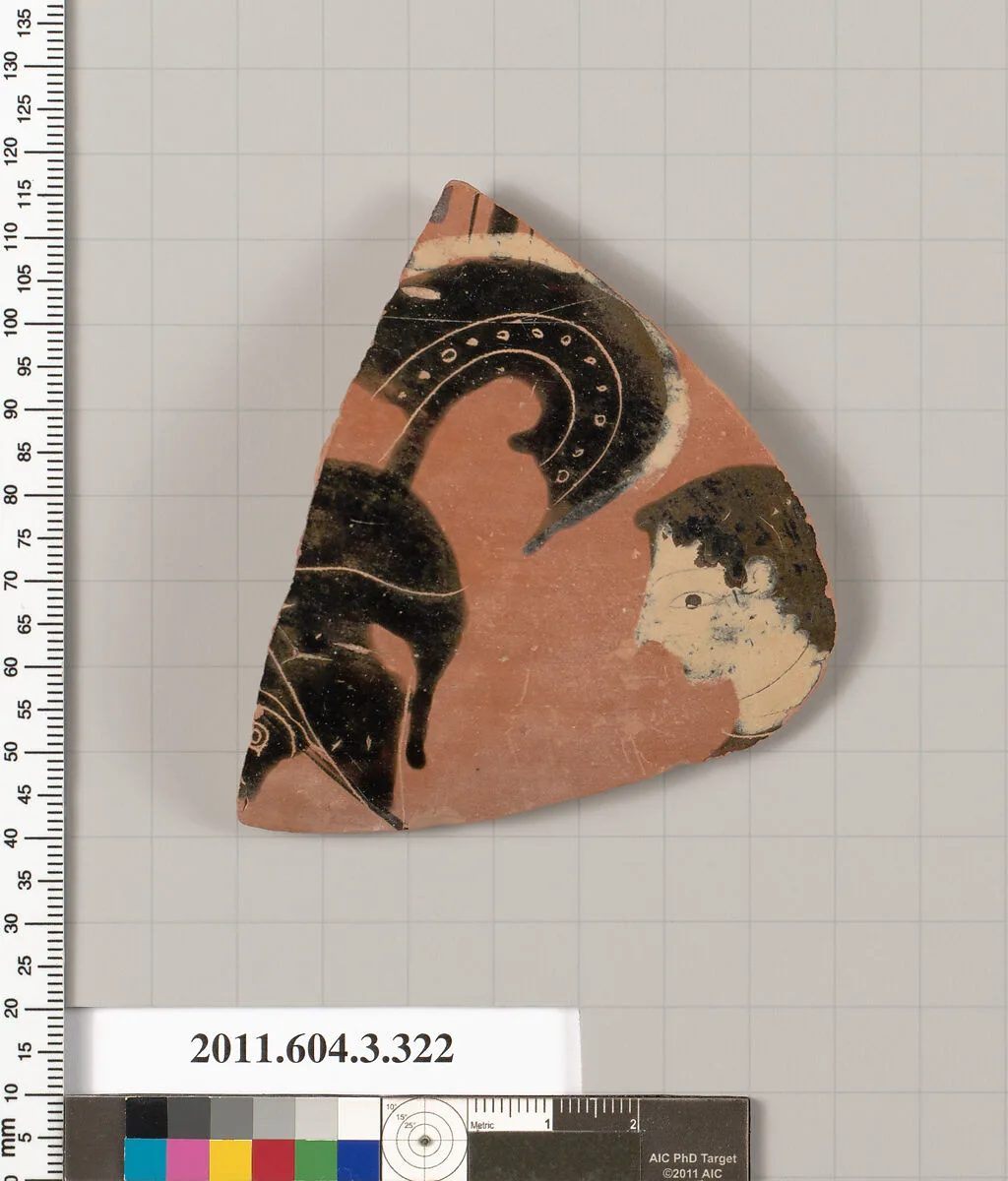 Terracotta fragment of a neck-amphora (jar) — Unknown
