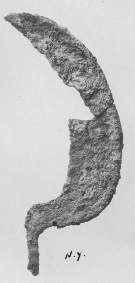Sickle blade — Unknown