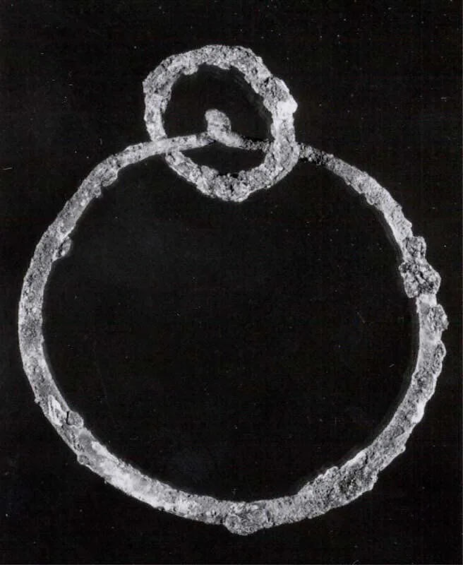 Earring — Unknown