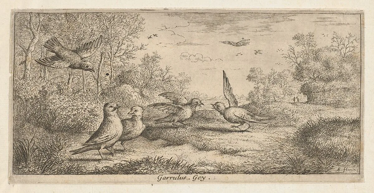 Garrulus, Gey (The Jay), from "Livre d'Oyseaux" (Book of Birds) — Albert Flamen