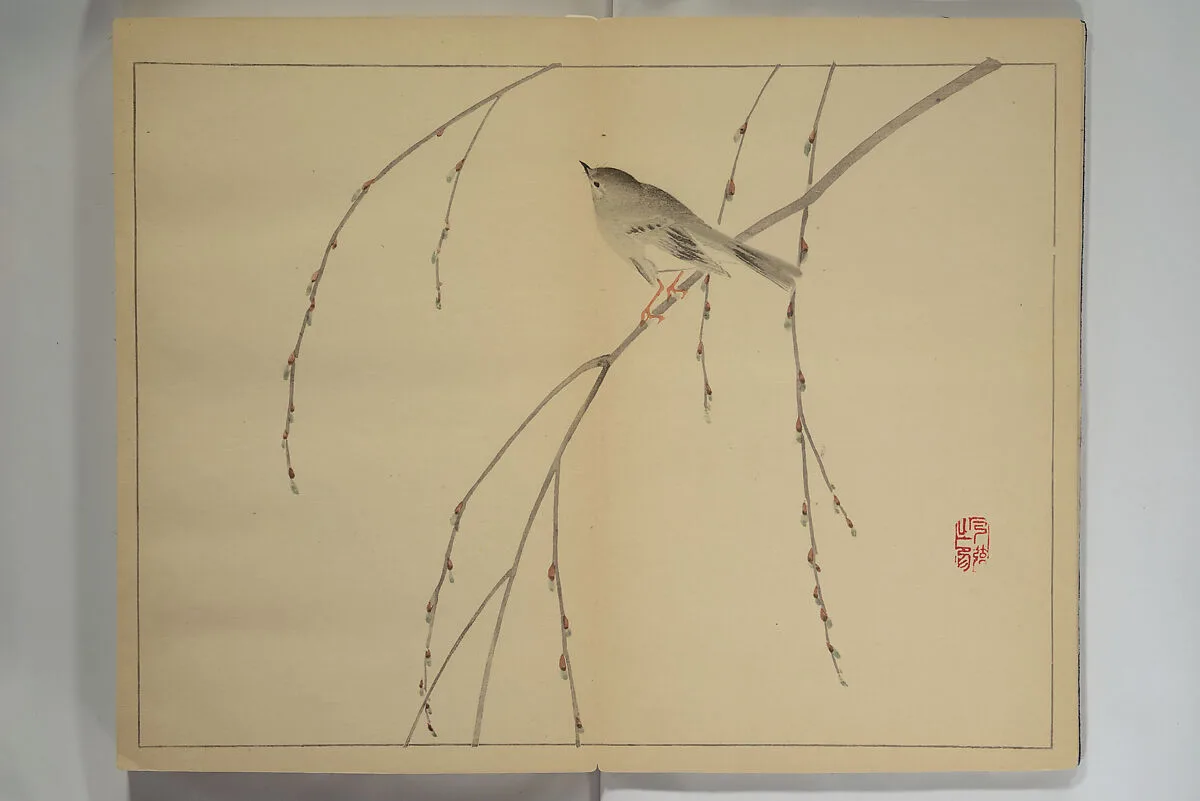 Untitled — Nishiyama Ken 西山謙一郎