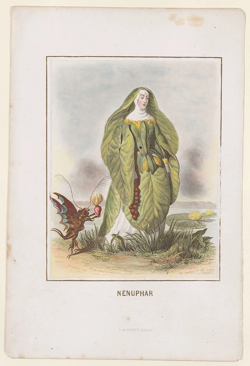 Nenuphar, from "Les Fleurs Animées" — Alphonse Karr|Taxile Delord|Gabriel de Gonet|J. J. Grandville|Dubuisson|Charles-Michel Geoffroy