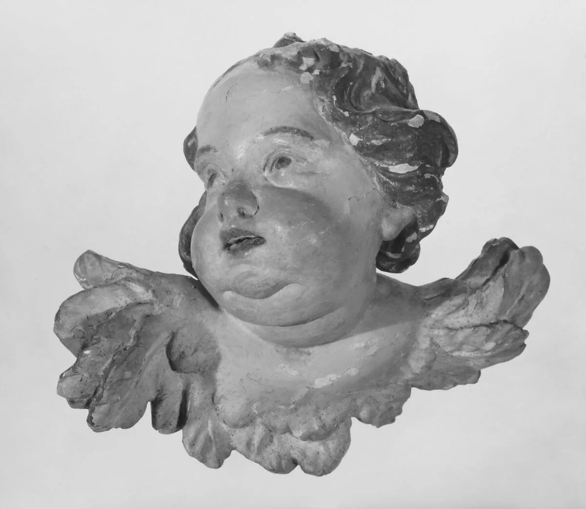 Head of a cherub — Unknown