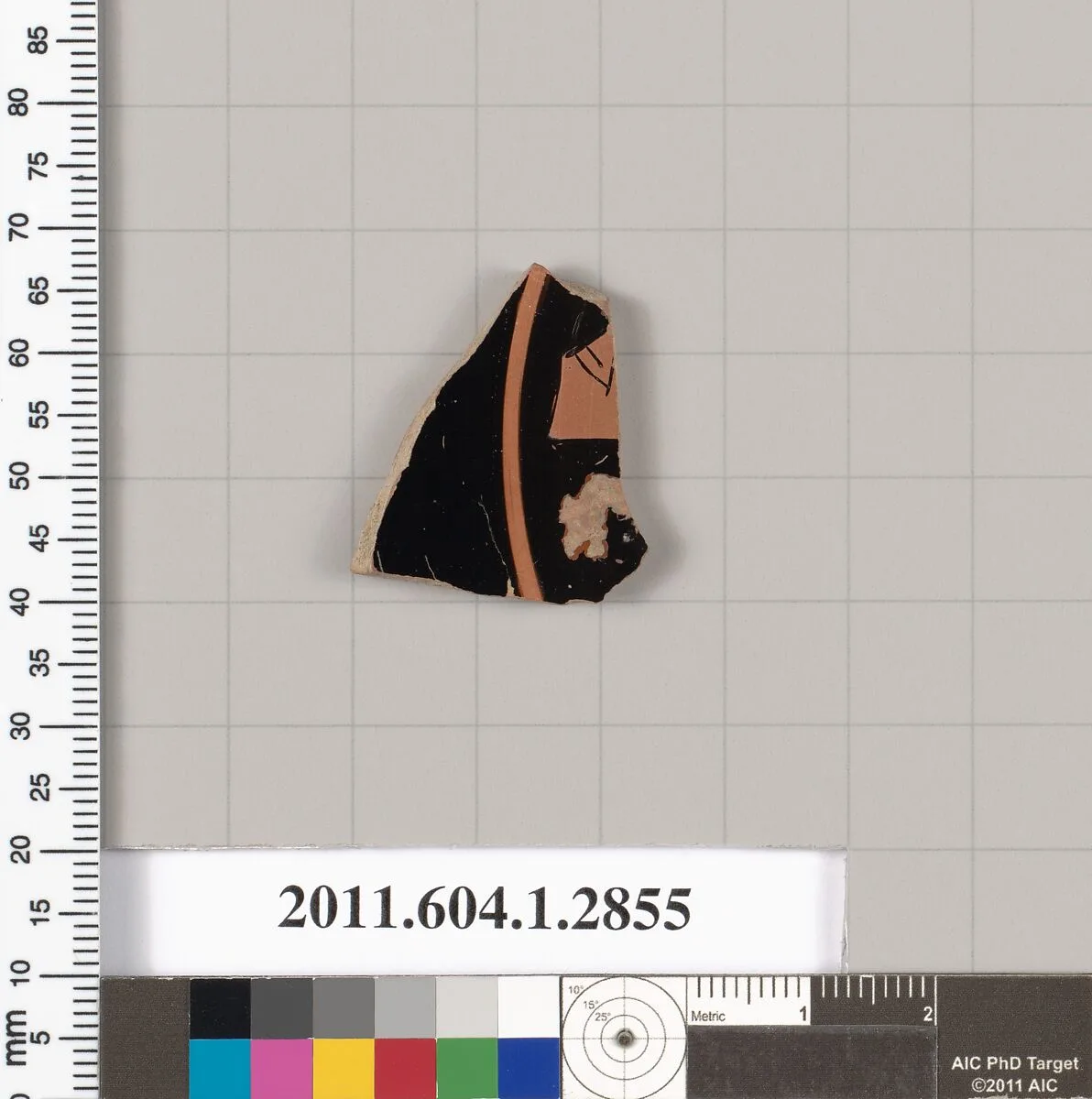 Terracotta fragment of a kylix (drinking cup) — Unknown