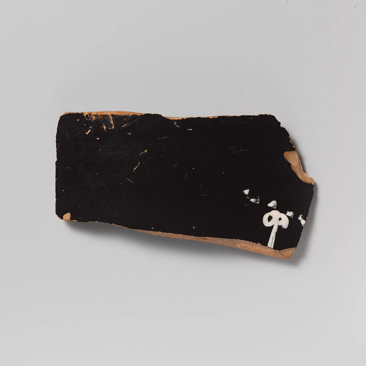 Calyx-krater, fragments — Unknown