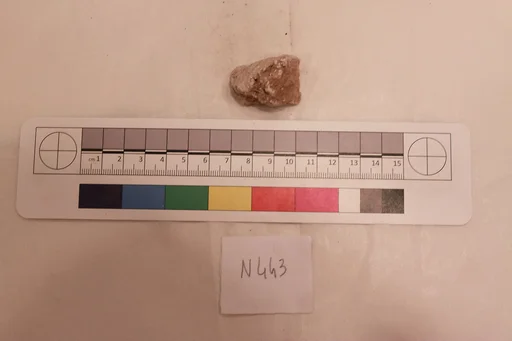 Stucco Fragment