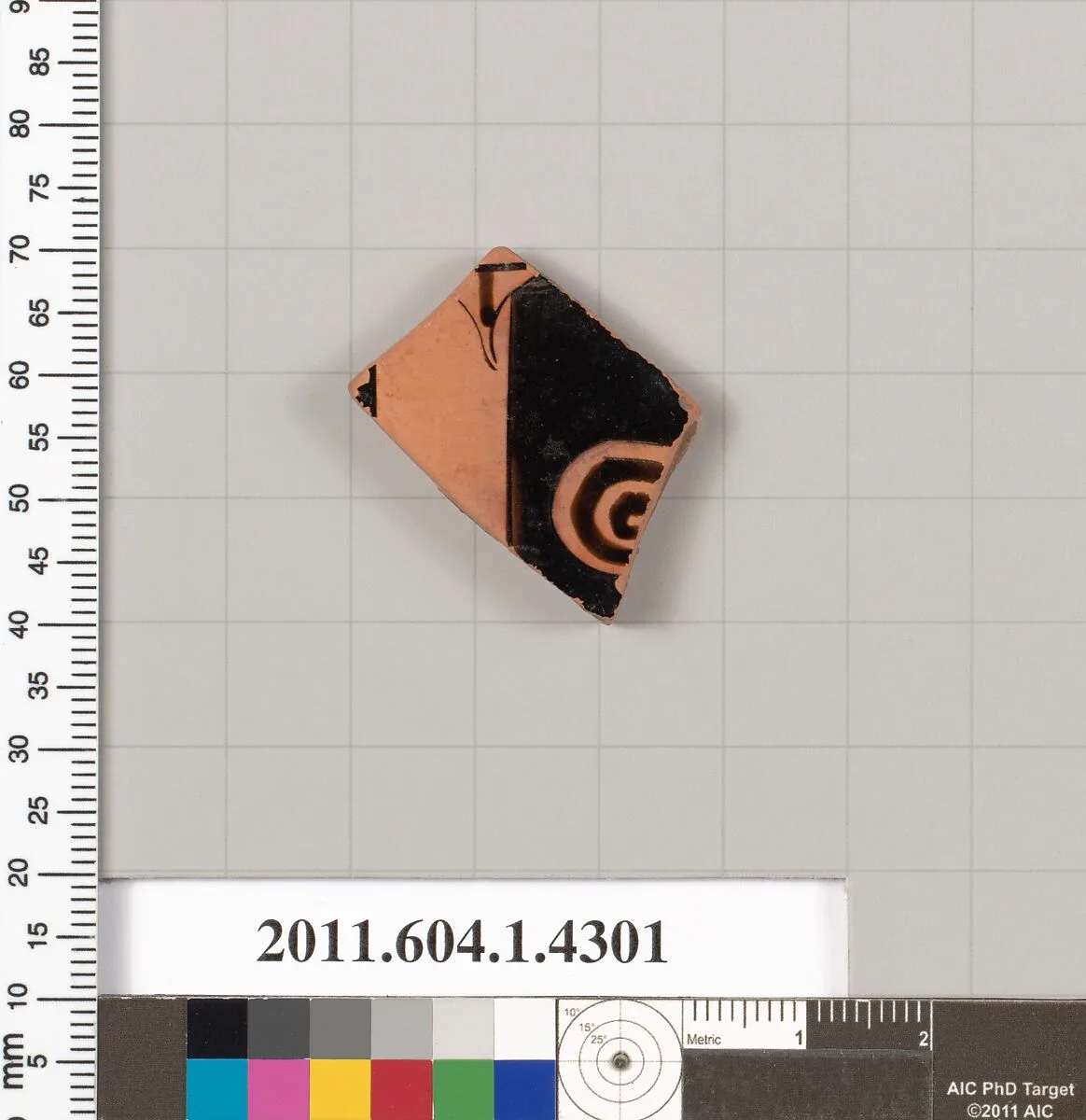 Terracotta fragment of a kylix (drinking cup) — Unknown