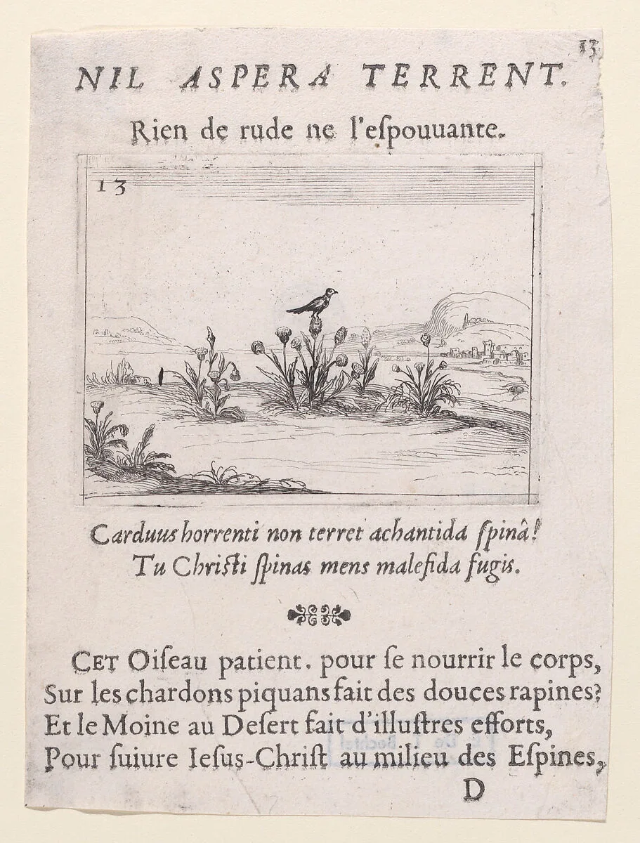 L'Oiseau Posé sur un Chardon en Fleurs (The Bird Standing on Thistle Flower), from Lux Claustri ou La Lumière du Cloitre (The Light of the Cloisters), plate 13 — Jacques Callot|François Langlois