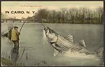 The First One I Caught. In Cairo, N.Y. — Unknown