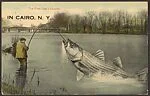 The First One I Caught.  In Cairo, N.Y.