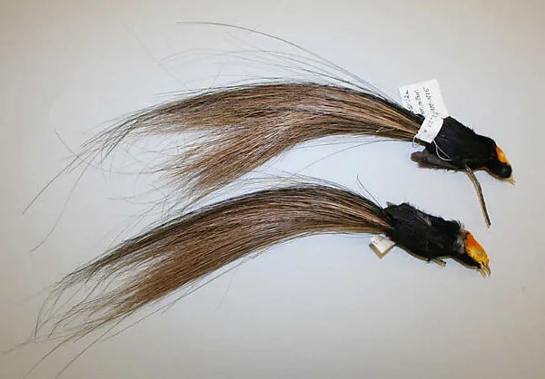 Aigrette — Unknown