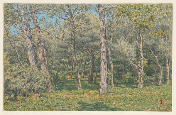 The Pines in Morgat — Henri Rivière