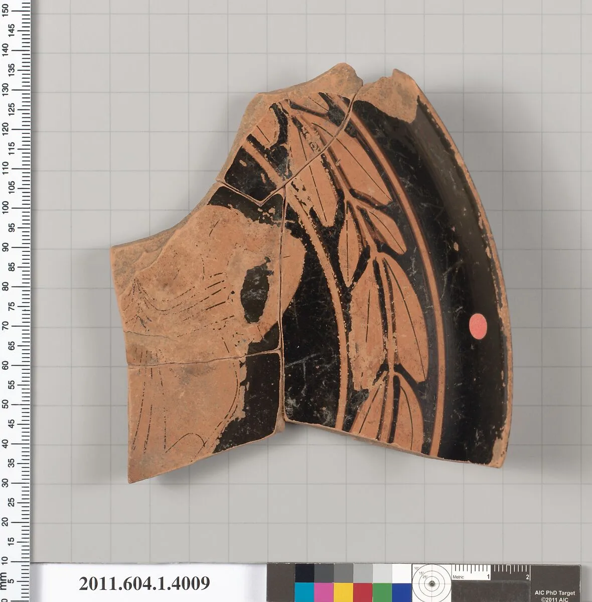 Terracotta fragment of a kylix (drinking cup) — Unknown