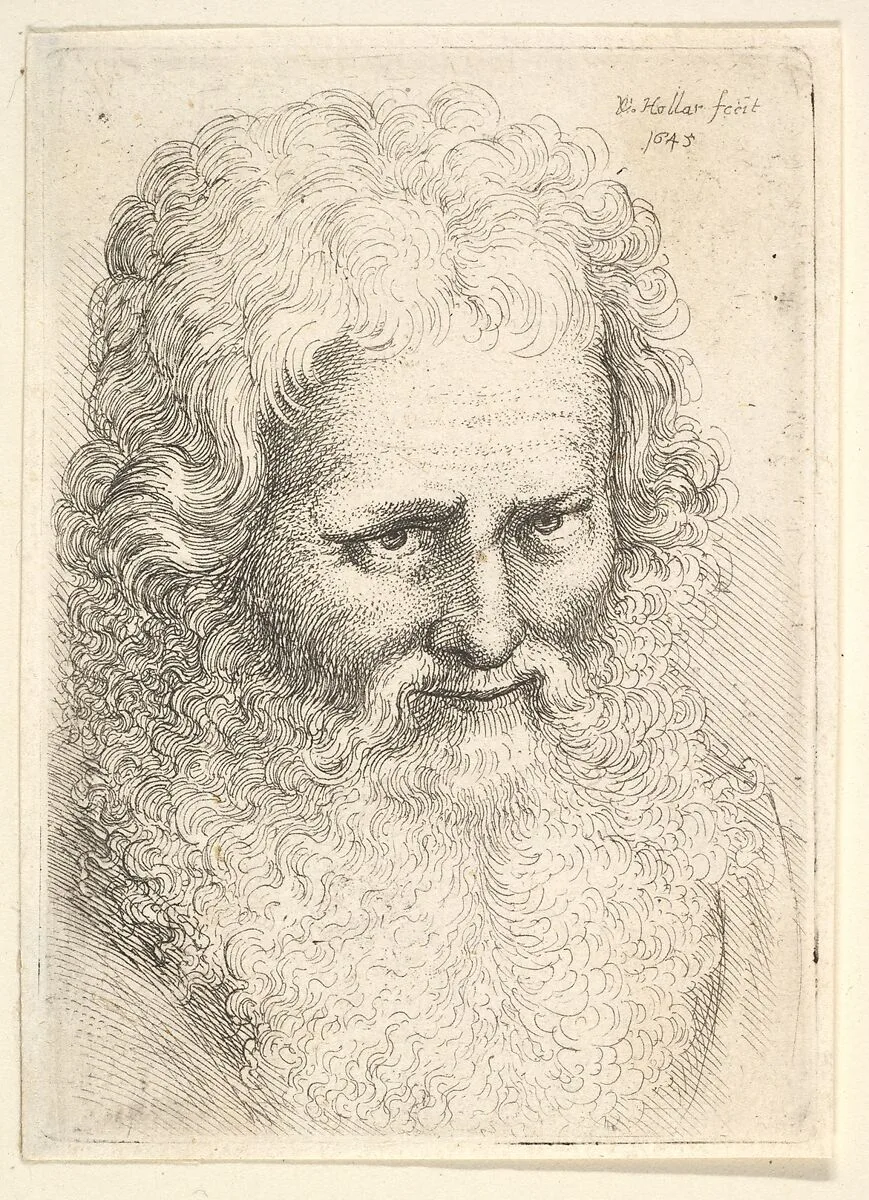 Head of an old man with a large beard — Wenceslaus Hollar
