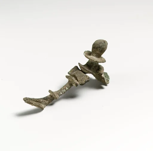 Fibula