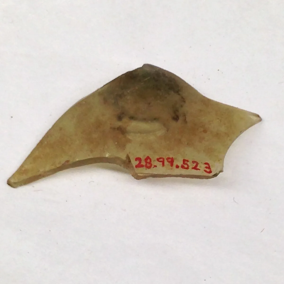 Fragment — Unknown