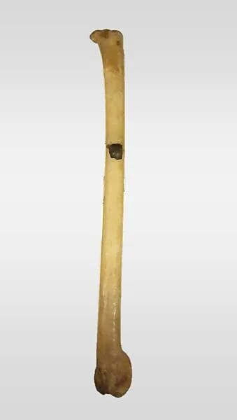 Whistle — Unknown