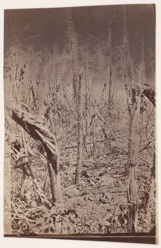 [The Wilderness Battlefield]