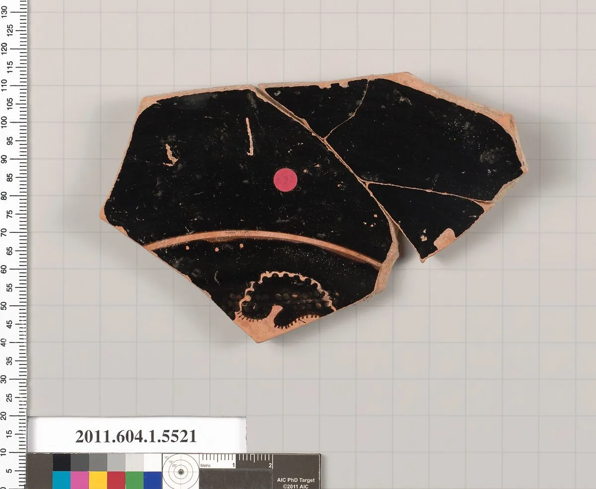 Terracotta fragment of a kylix (drinking cup) — Unknown