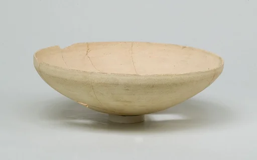 Dish