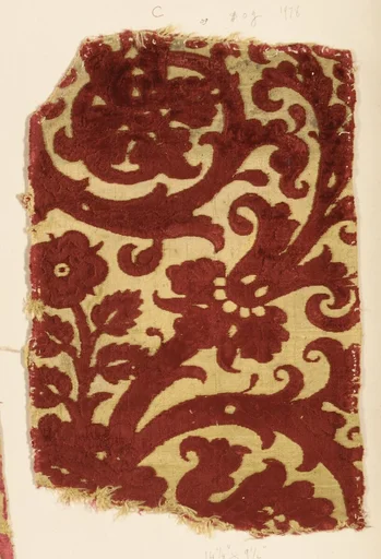 Fragment