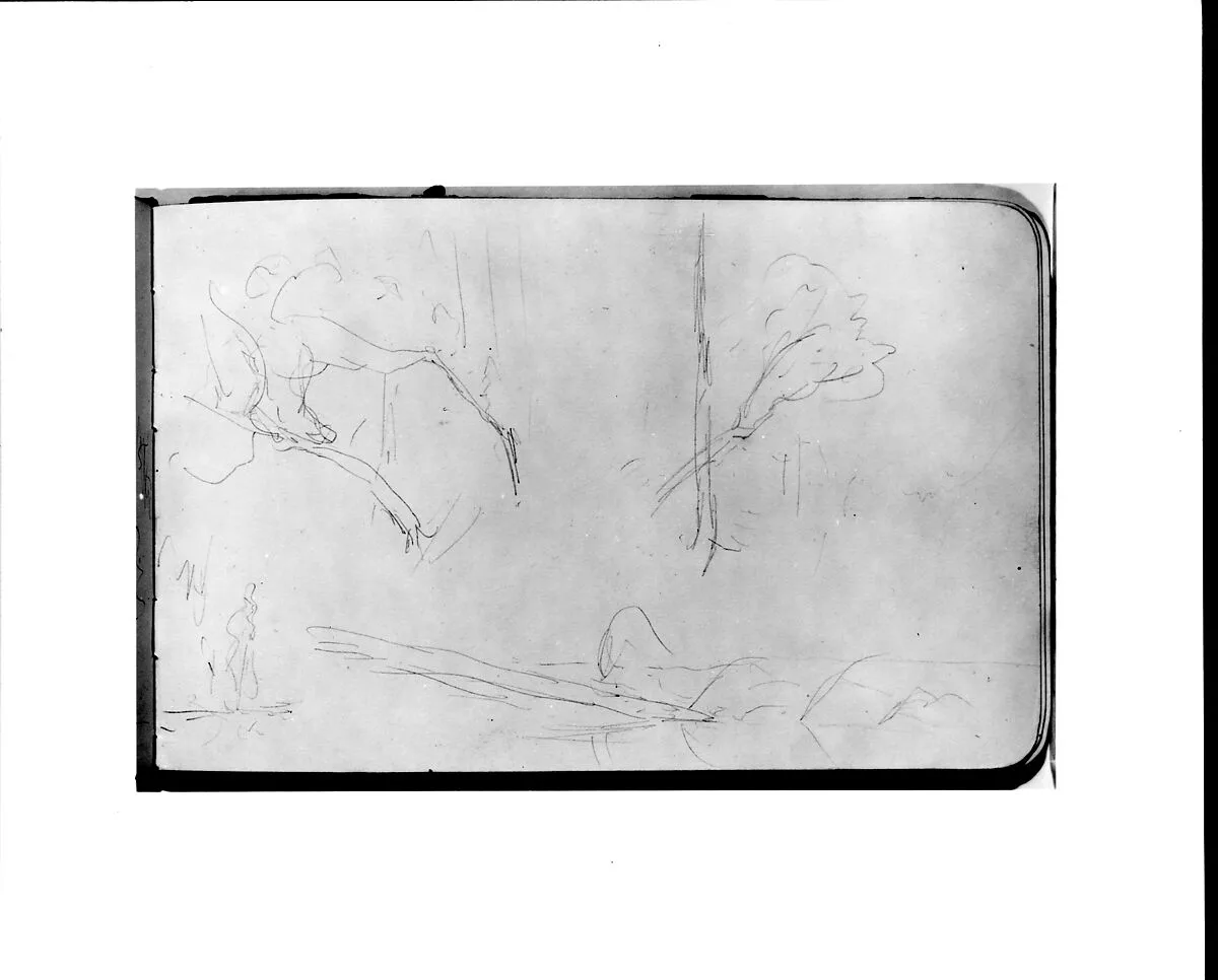 Sketches of Trees (from Sketchbook) — Albert Bierstadt