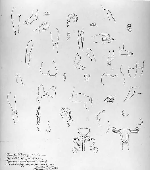 Drawing of Anatomical Parts — Charles Sheeler