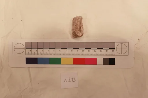 Stucco Fragment