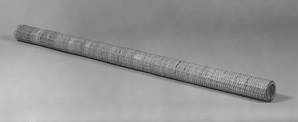 Rain Stick — Latin Percussion