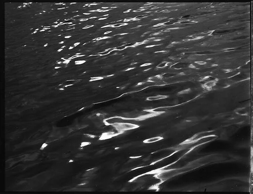 [Water, From Dayboat in Everglades, Florida]