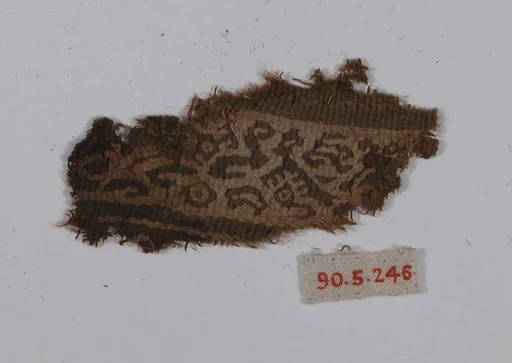 Textile Fragment