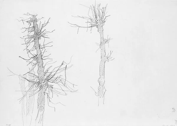 Wasted Trees — John Singer Sargent